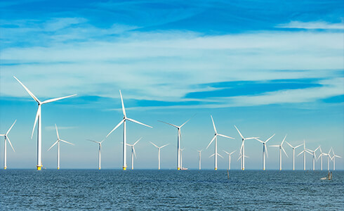 Seeking to expand renewable energy, expectations for offshore wind power are rising.