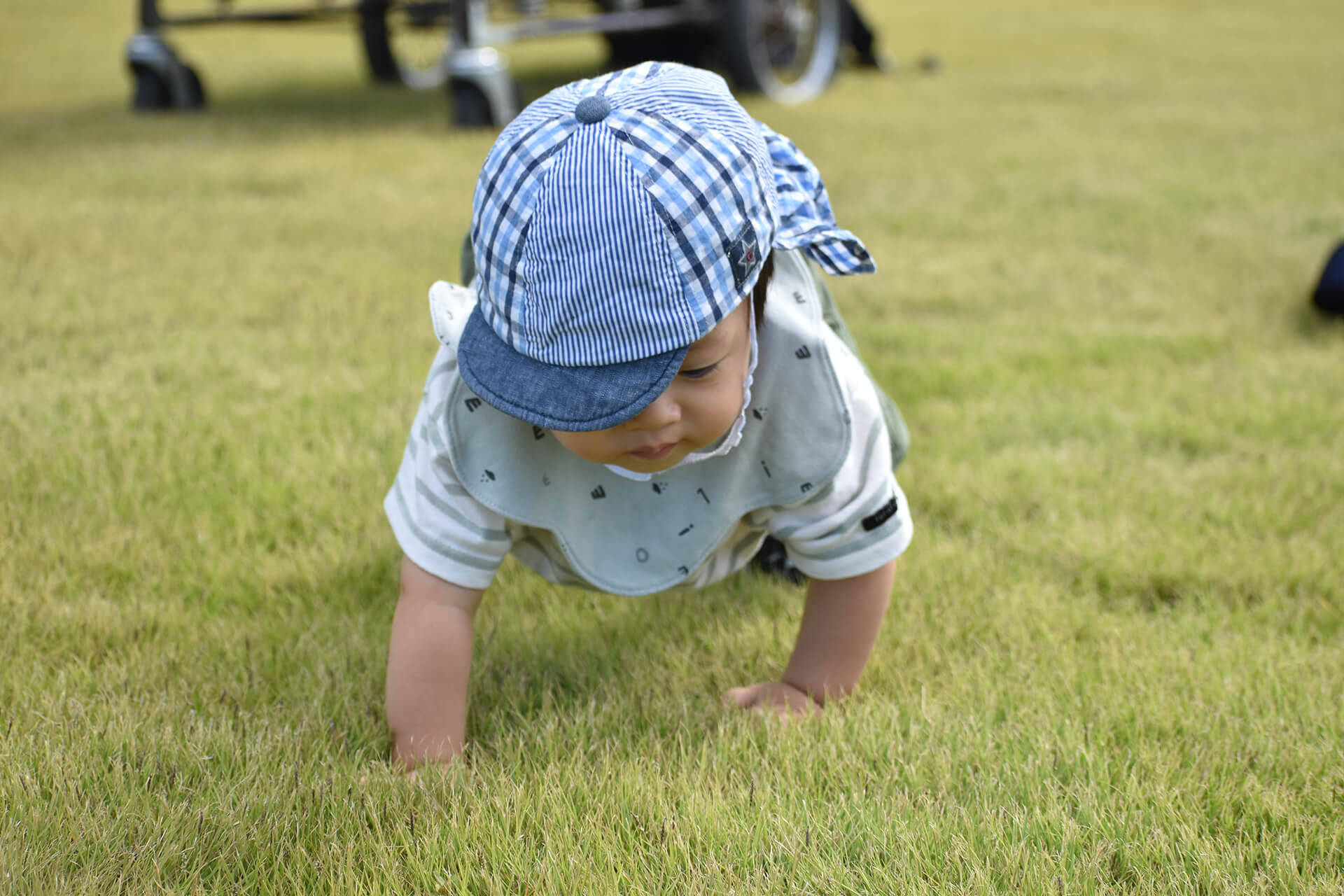 I'm still small, so let’s crawl on the grass.