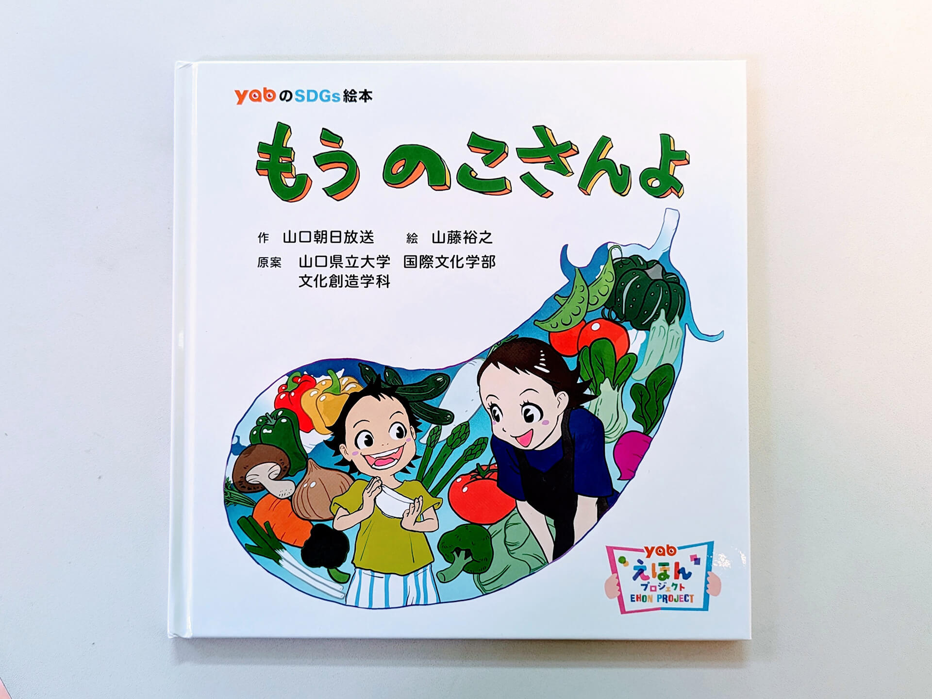 The SDG picture book 